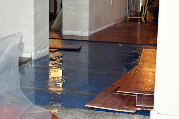 Professional Burst Pipe Cleanup technician working in Kincaid, IL