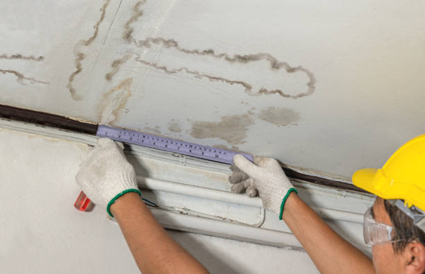 Reliable Burst Pipe Cleanup contractor in Kincaid, IL by Water Damage Irwin